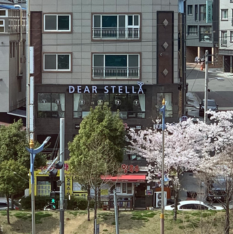 디어스텔라(DEAR STELLA) 이미지