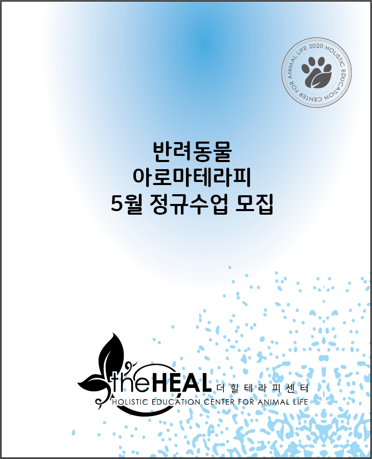 더힐테라피센터 이미지