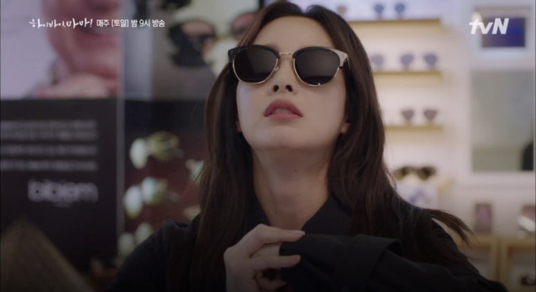 바이슈에뜨 이미지