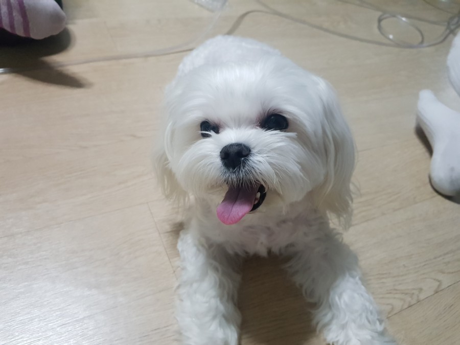 쮸쮸 이미지
