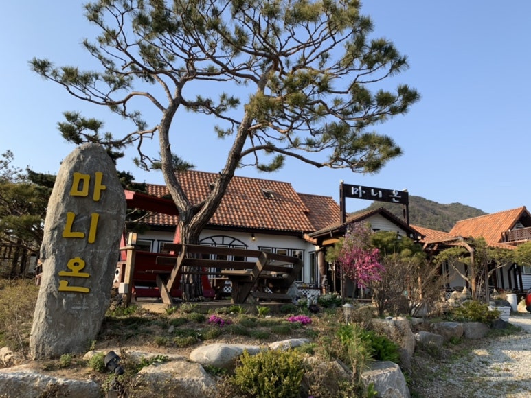 마니온 이미지