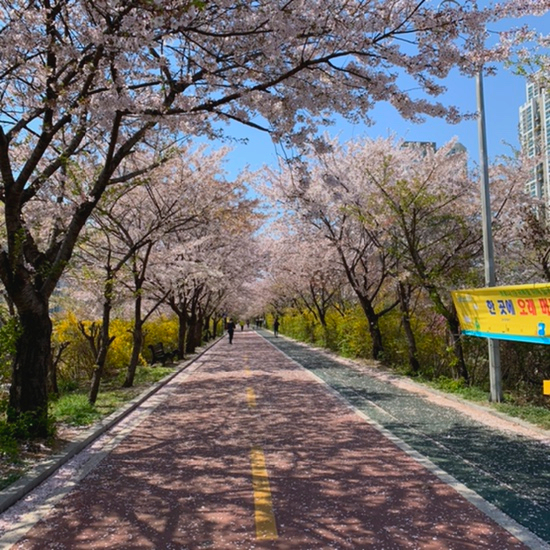 와플톡 이미지