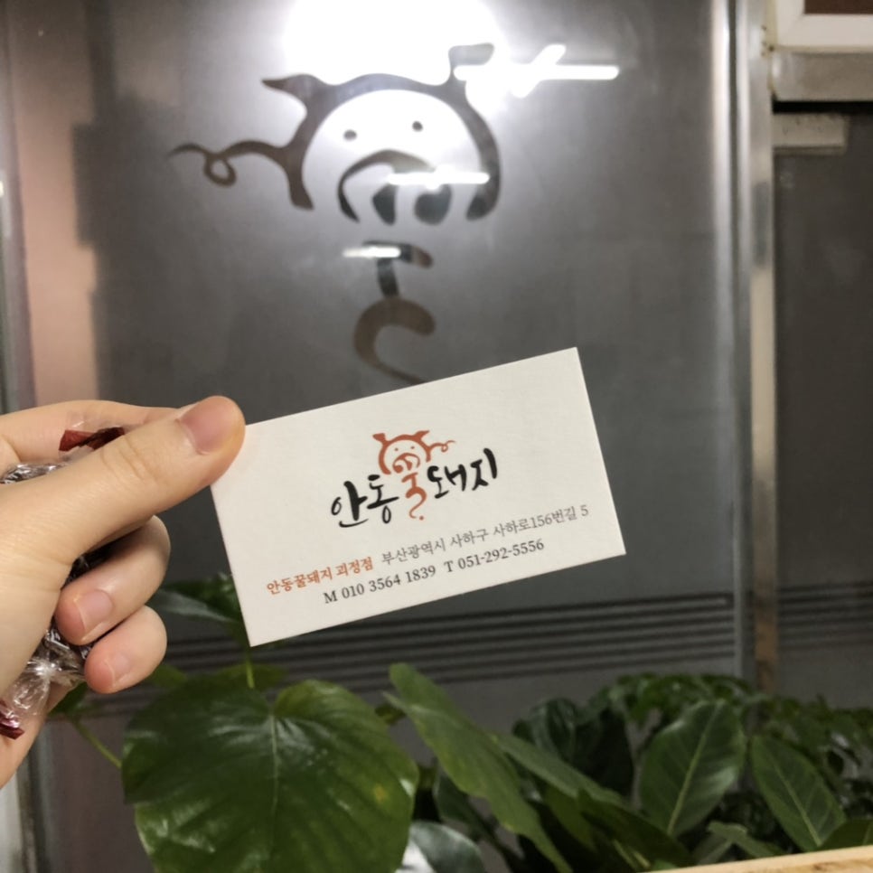 안동꿀돼지 이미지