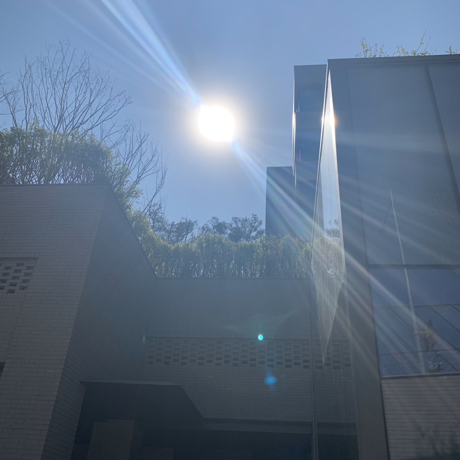 현선이네갤러리아고메이494한남 이미지