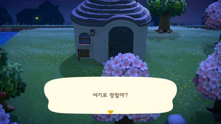 쭈니네 이미지