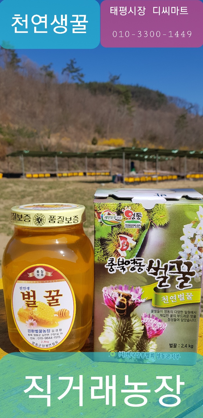 디씨마트 이미지