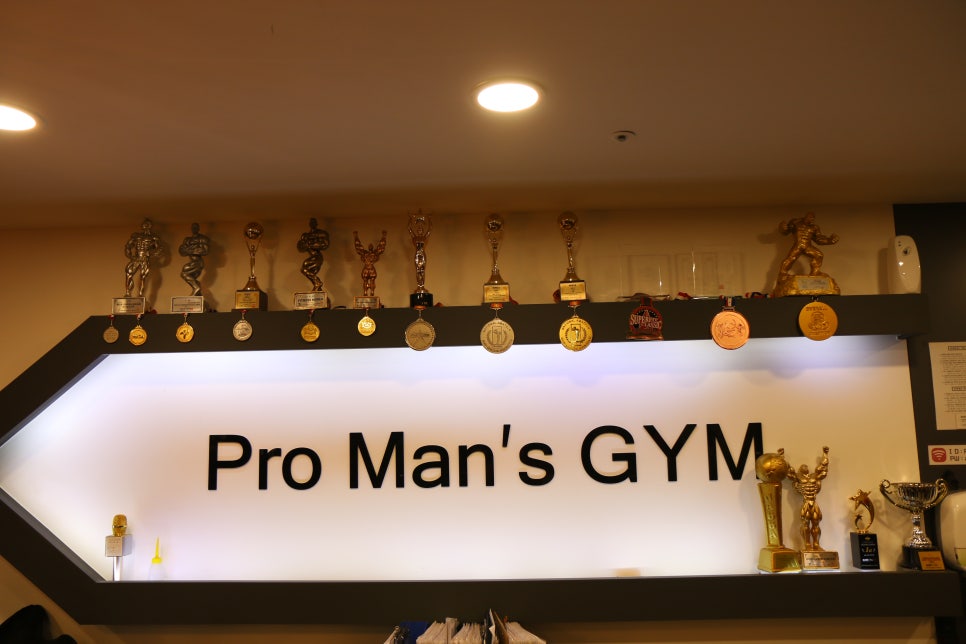 프로맨스 이미지