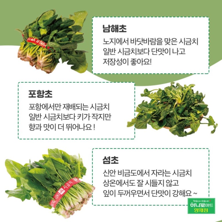 오늘반찬 이미지