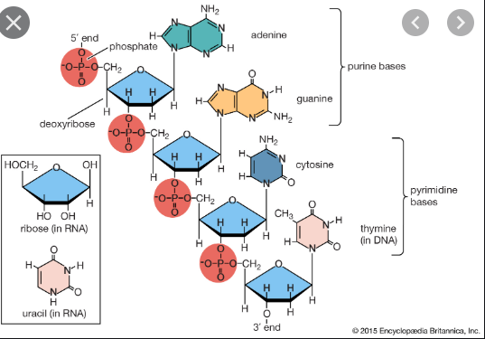 ap화학 (AP chemistry) 중요한 부분, 생소한 부분 정리를 해 보겠습니다. 관련 이미지 1