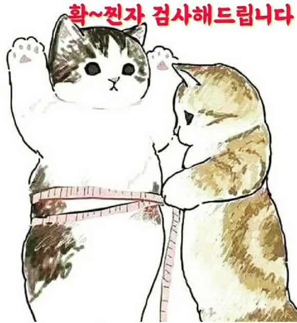 점핑클럽 이미지