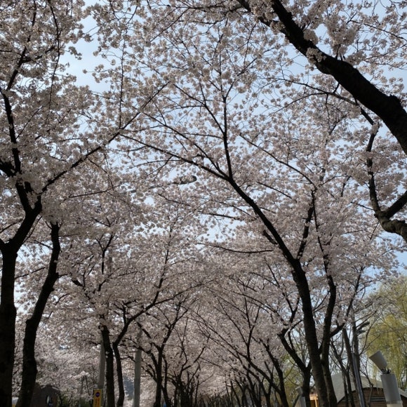 예스교복 이미지
