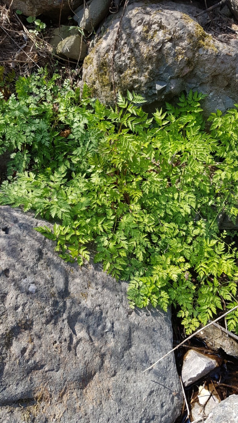 산골마트 이미지