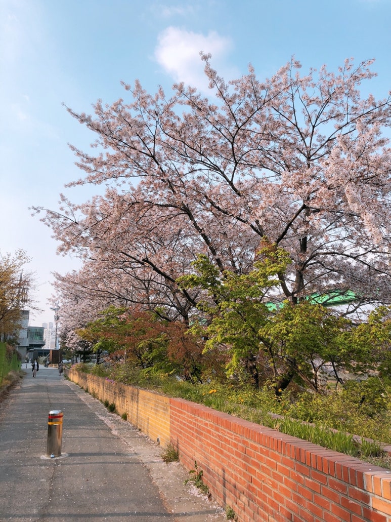 정현 헤어크리닉 이미지