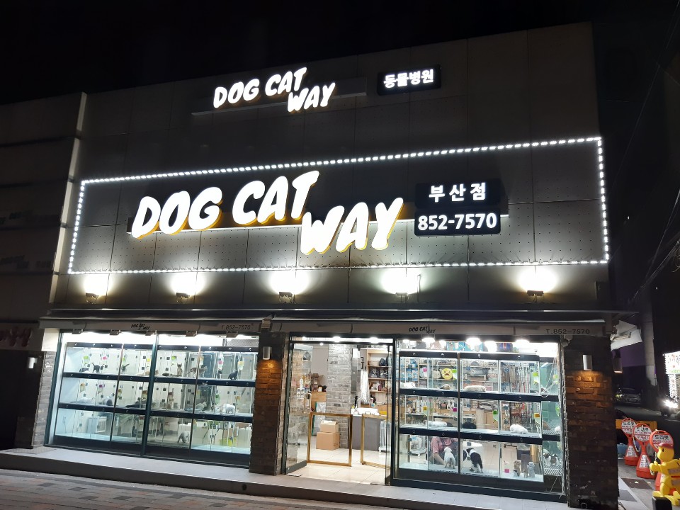 대영디자인 이미지