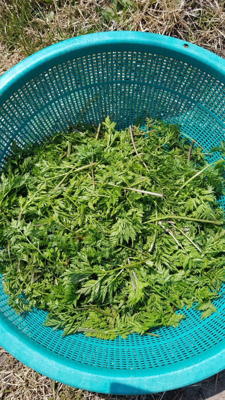 산골마트 이미지
