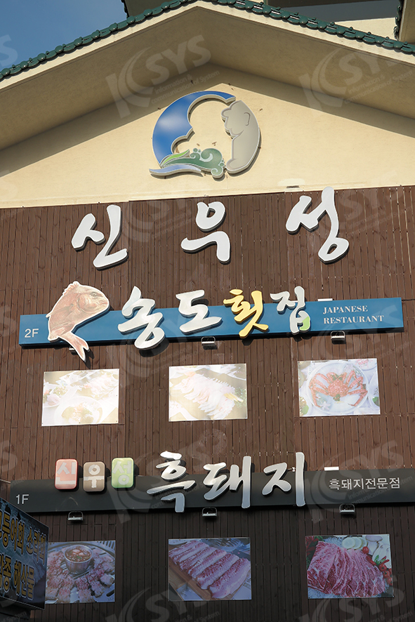 케이시스 이미지