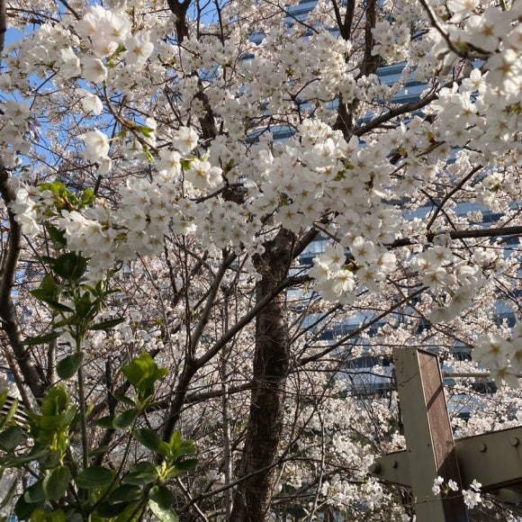 뉴픽 이미지