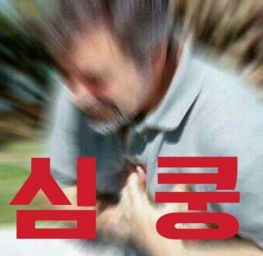 3인칭관찰자시점 이미지