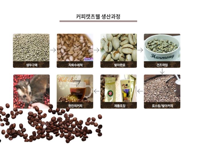 켓츠웰 이미지