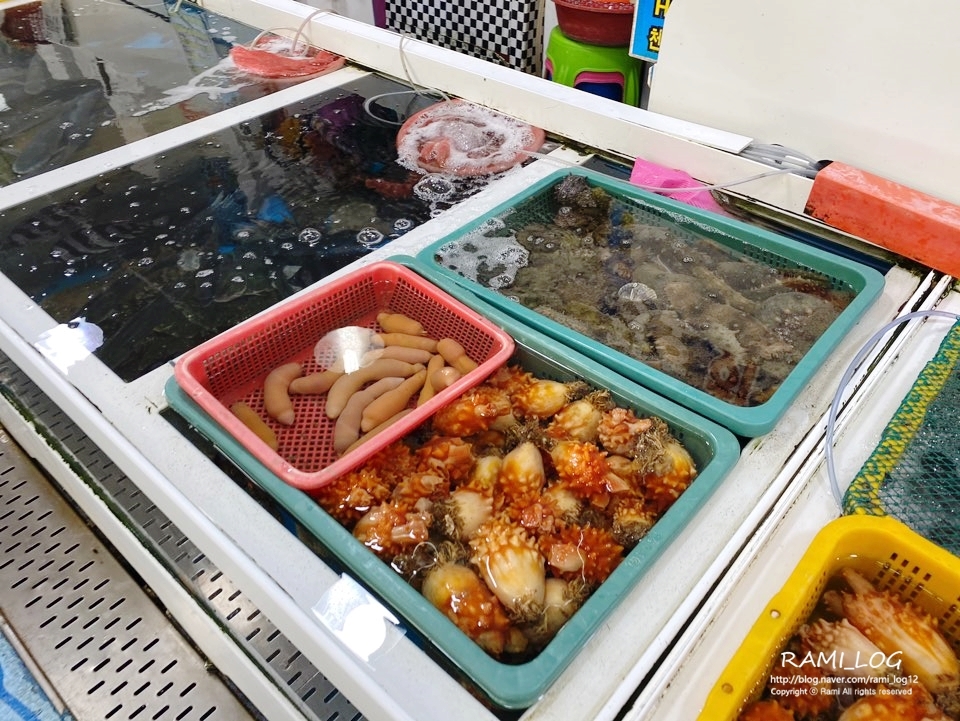 용궁회수산 이미지
