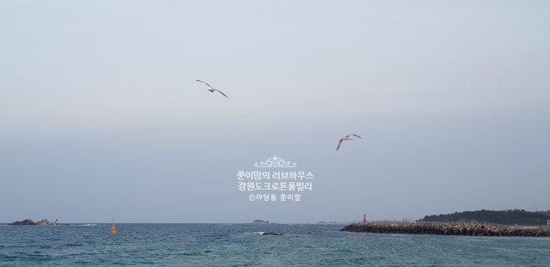 크로톤풀빌라 이미지