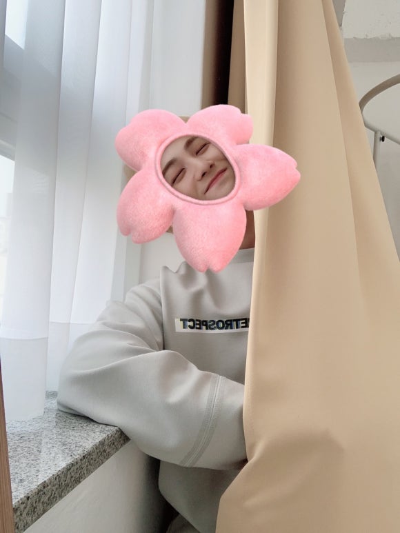 뉴픽 이미지