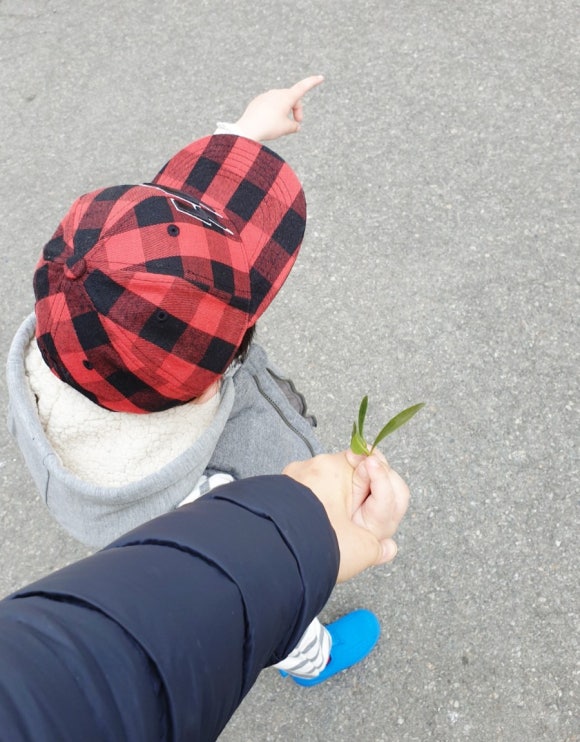 컷트랑빠마랑 이미지