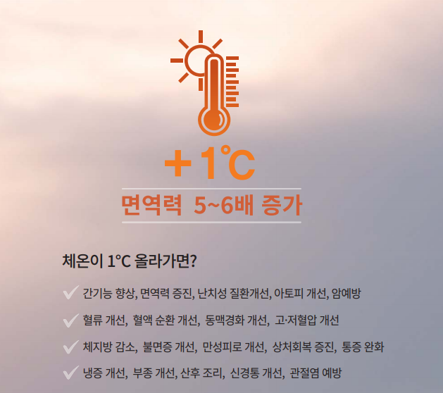 색갈은짙은갈색 이미지