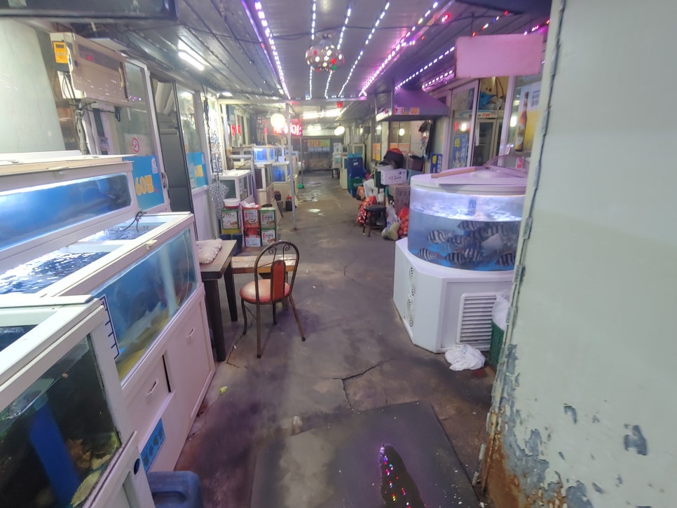추적60병 이미지