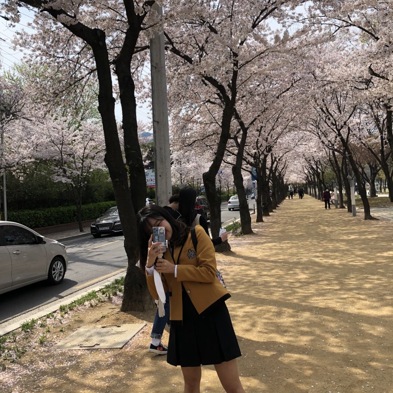 예스교복 이미지
