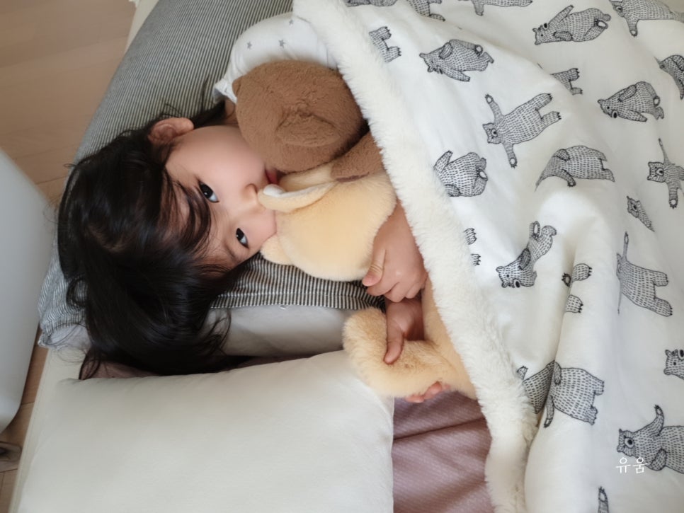 다;하리 이미지