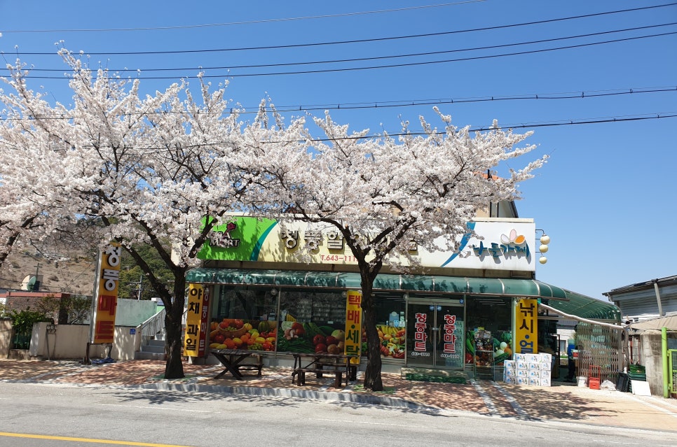대동할인마트 이미지