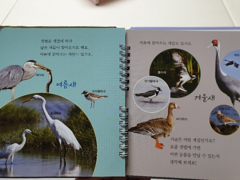 백로기물 이미지