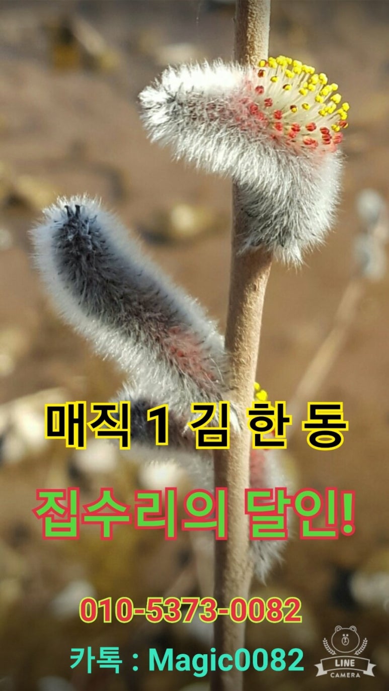 벤츠당구장 이미지