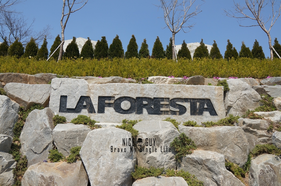 LAFORESTA(라포레스타) 이미지