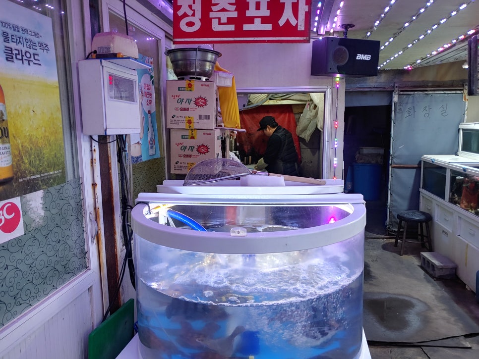 추적60병 이미지