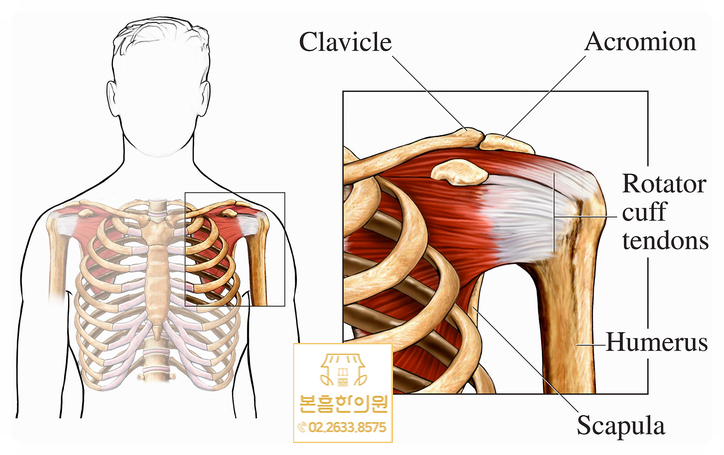 황교헌한의원 이미지