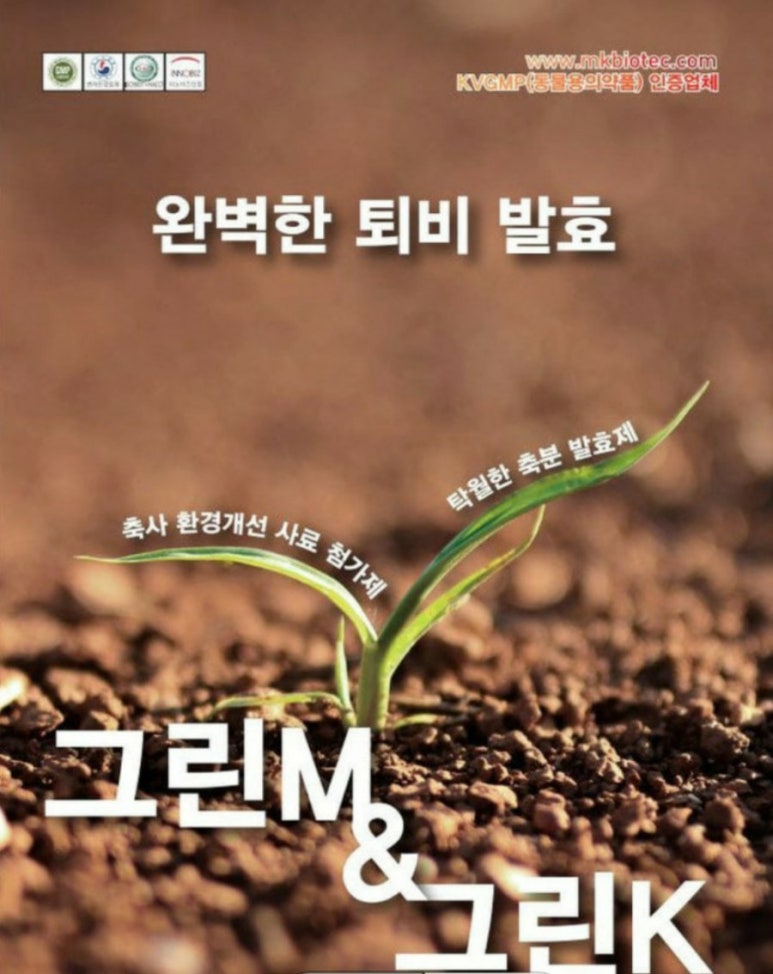 에스에스K 이미지