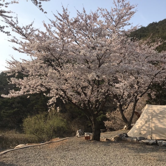 문수골 힐링캠핑장 이미지