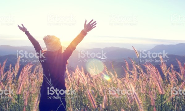 해방 이미지