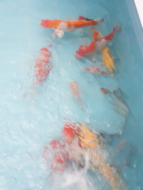 뻐끔뻐끔 이미지