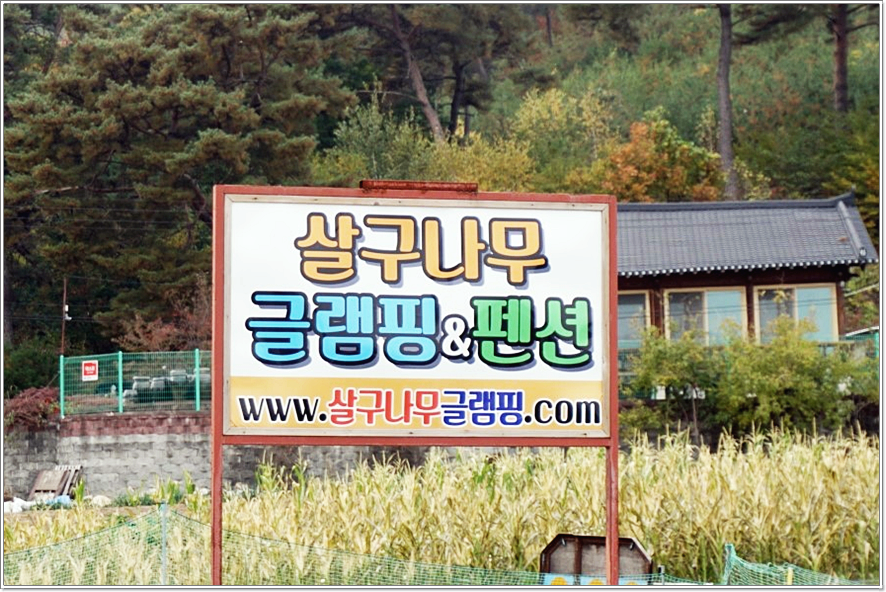 글램핑로망 이미지