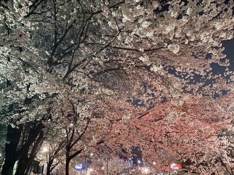 브렛투미츄 이미지
