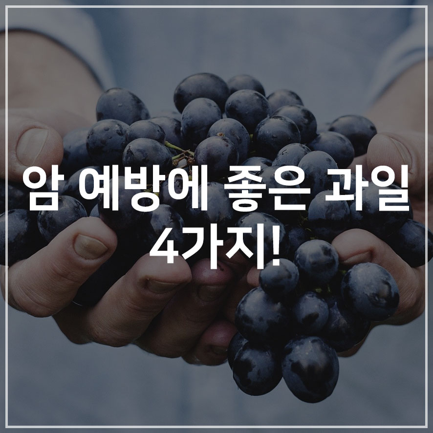 씨에이치케미칼 이미지