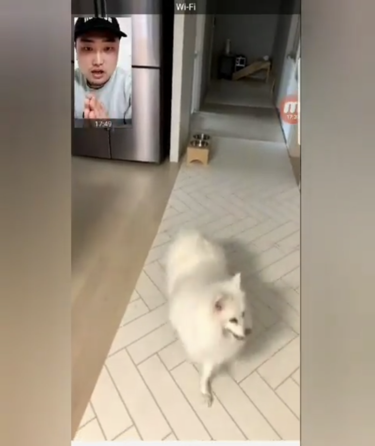 알렉스 이미지