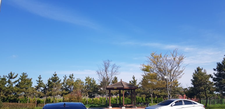 신안꾸지뽕나무영농조합법인 이미지