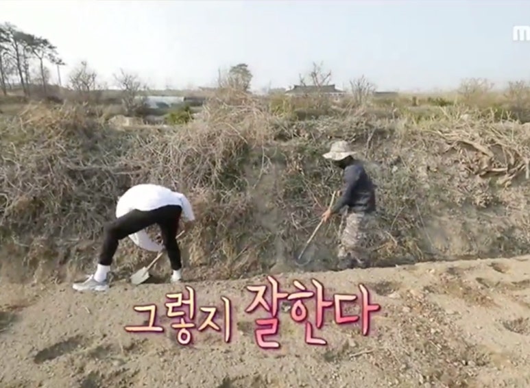 복숭아아저씨 이미지