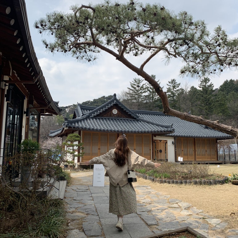 우지커피 이미지