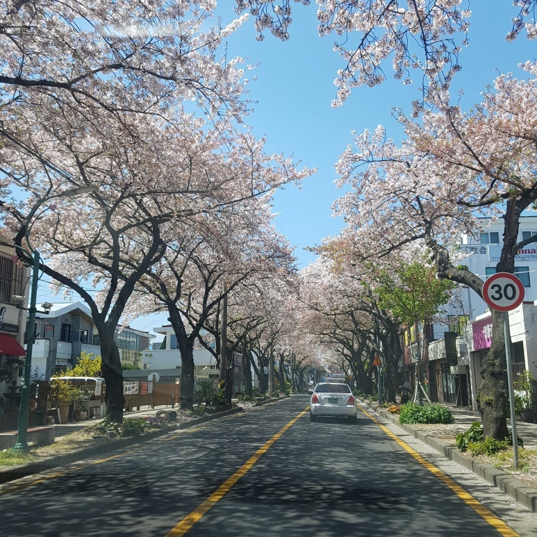 이멘스 이미지