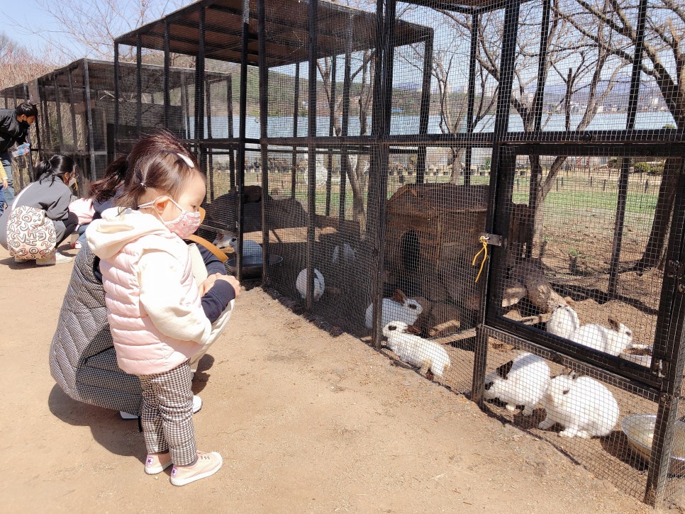 산들수목원 이미지